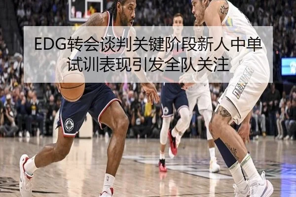 EDG转会谈判关键阶段新人中单试训表现引发全队关注